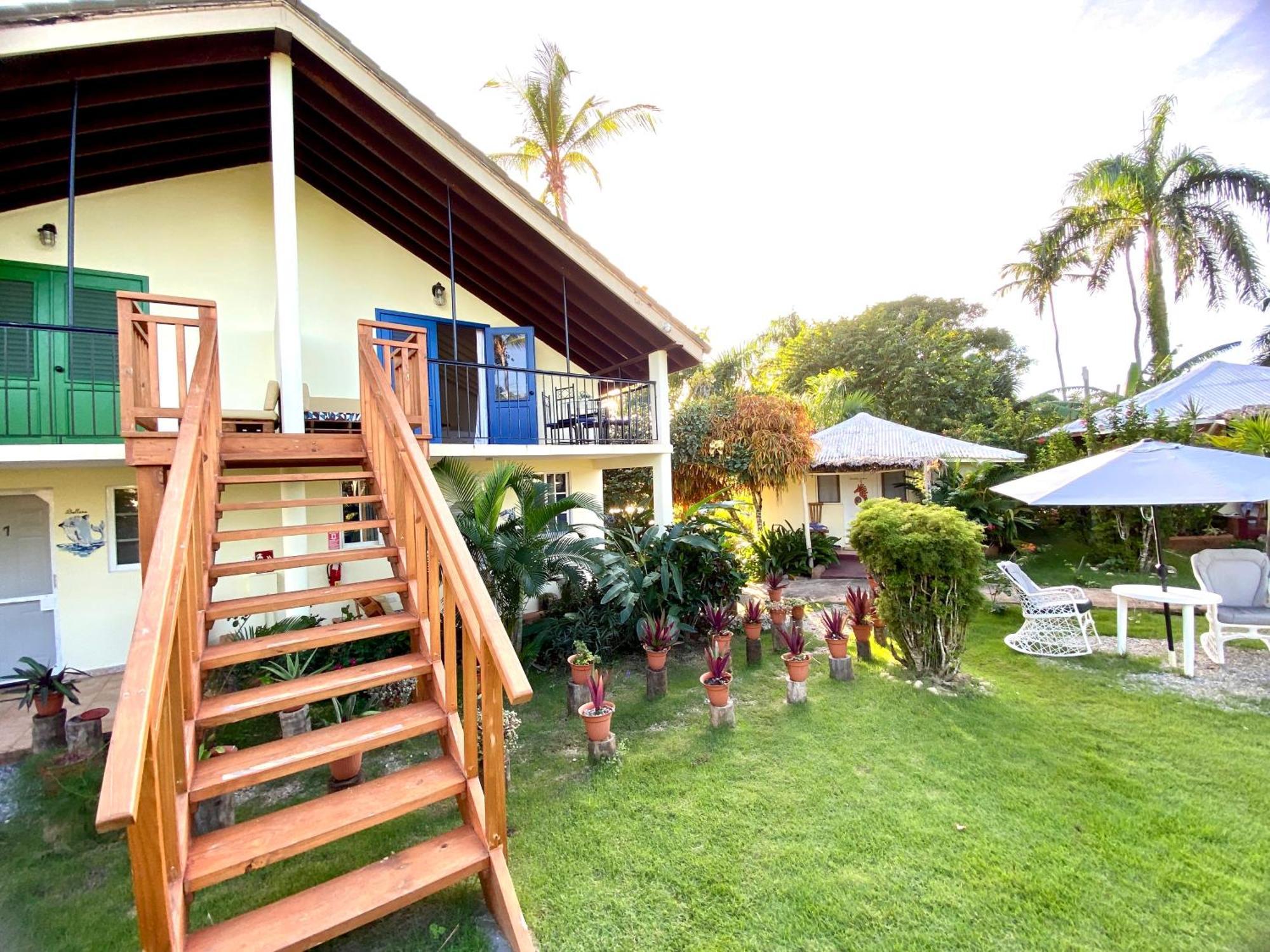 Arena Oceanview Hotel & La Terraza Restaurant Las Galeras Exterior foto