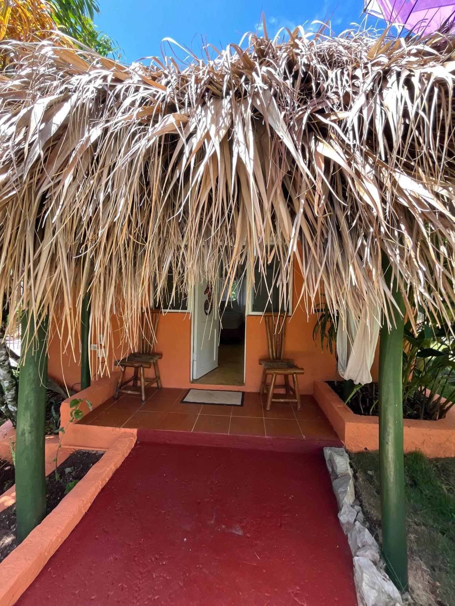 Arena Oceanview Hotel & La Terraza Restaurant Las Galeras Exterior foto